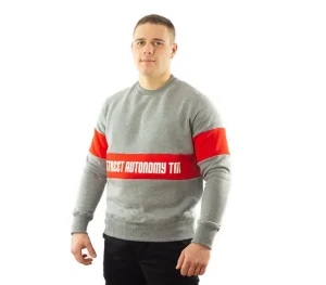 Męskie Street Autonomy Bluzy>Bluza bez kaptura Glad grey 2021
