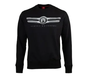 Męskie Street Autonomy Bluzy>Bluza bez kaptura Ebra black/silver 2021
