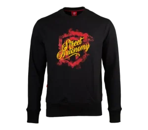Męskie Street Autonomy Bluzy>Bluza bez kaptura Flame Logo 2021