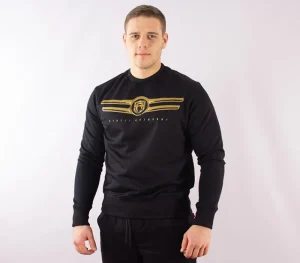 Męskie Street Autonomy Bluzy>Bluza bez kaptura Ebra black/gold 2021