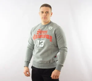 Męskie Street Autonomy Bluzy>Bluza bez kaptura Basket grey 2021