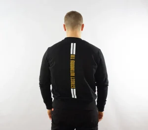 Męskie Street Autonomy Bluzy>Bluza bez kaptura Simple strips black 2021
