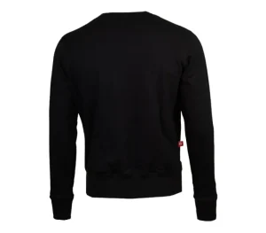 Męskie Street Autonomy Bluzy>Bluza bez kaptura Flame Logo 2021