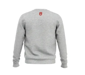 Męskie Street Autonomy Bluzy>Bluza bez kaptura Figures grey 2022