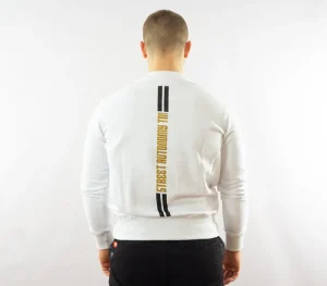 Męskie Street Autonomy Bluzy>Bluza bez kaptura Simple strips white 2021