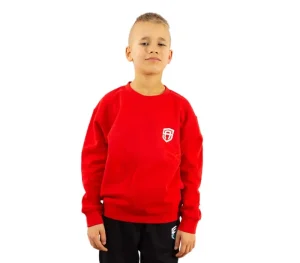 Dzieci Street Autonomy Bluzy>Bluza dziecięca bez kaptura Ethereal red/white 2021