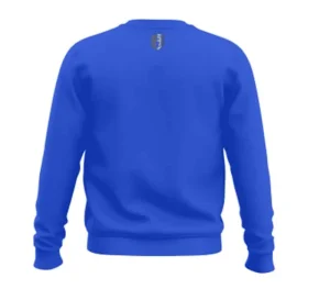 Dzieci Street Autonomy Bluzy>BLUZA DZIECIĘCA BEZ KAPTURA RECTA BLUE/SILVER 2022