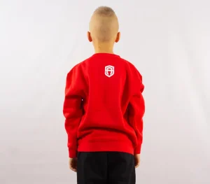 Dzieci Street Autonomy Bluzy>Bluza dziecięca bez kaptura Many Logo red 2021