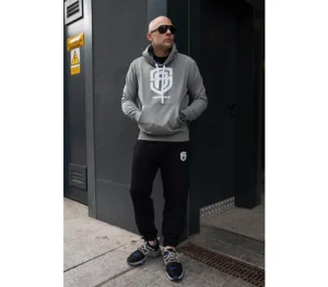 Męskie Street Autonomy Bluzy>Bluza z kapturem Two Stripes grey 2022