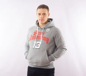 Męskie Street Autonomy Bluzy>Bluza z kapturem Basket grey 2021