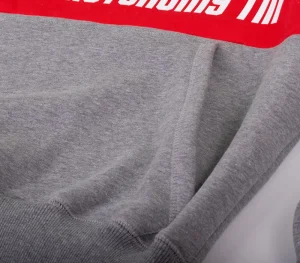 Męskie Street Autonomy Bluzy>Bluza z kapturem Glad grey/red 2021