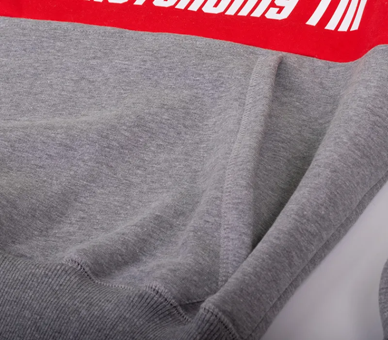 bluza_z_kapturem_street_a_8-2.webp Męskie Street Autonomy Bluzy>Bluza z kapturem Glad grey/red 2021
