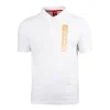 Męskie Street Autonomy Koszulki Polo>Koszulka Polo Hologram white/gold 2021